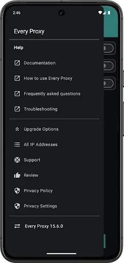 Скриншот 5 — Every Proxy Network Bridge