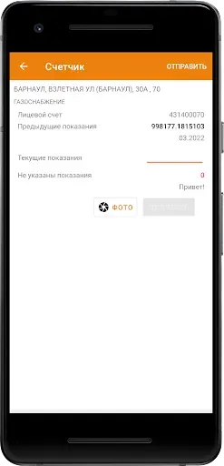 Скриншот 6 — Система Город - Алтайский край