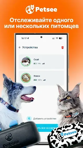Скриншот 1 — Petsee