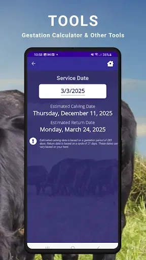 Скриншот 5 — Cattle Market Mobile