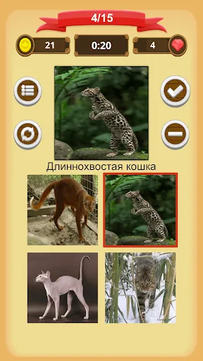 Скриншот 5 — Кошки - Викторина