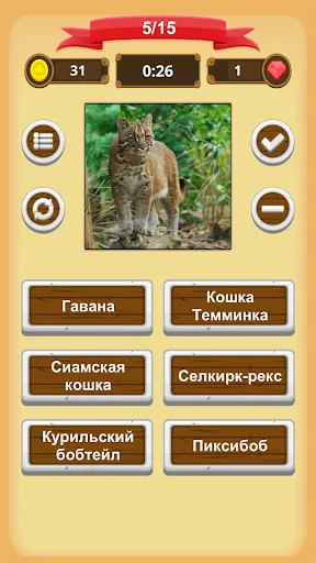 Скриншот 7 — Кошки - Викторина