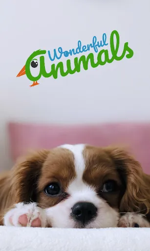 Скриншот 1 — Wonderful Animals