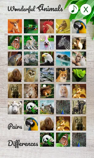 Скриншот 2 — Wonderful Animals