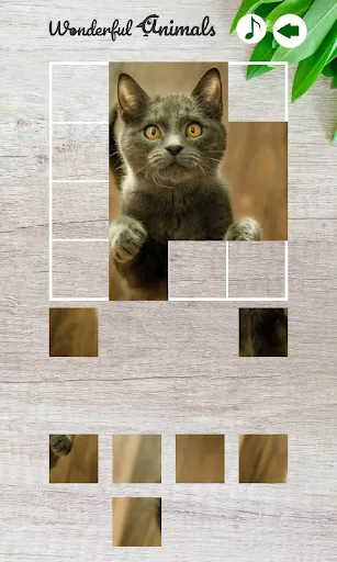 Скриншот 3 — Wonderful Animals
