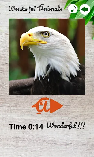 Скриншот 4 — Wonderful Animals