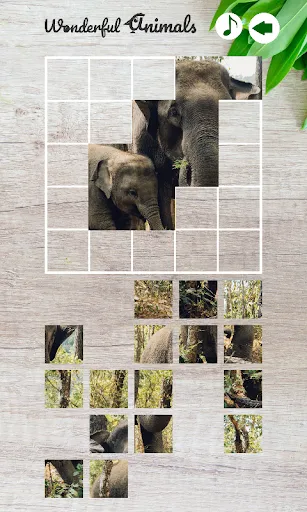 Скриншот 5 — Wonderful Animals
