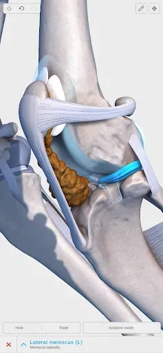 Скриншот 4 — Complete Canine 3D - anatomy