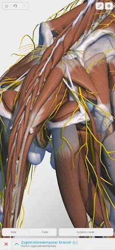 Скриншот 7 — Complete Canine 3D - anatomy