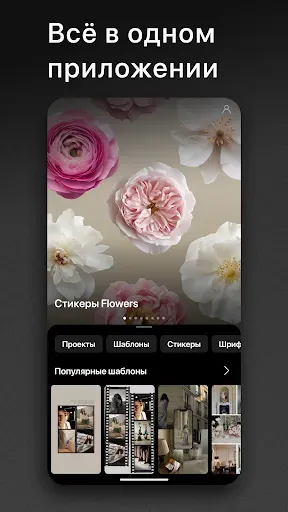 Скриншот 6 — Graphionica: инстаграм сторис