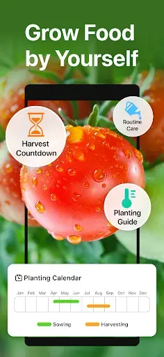 Скриншот 1 — GrowIt: Vegetable Garden Care