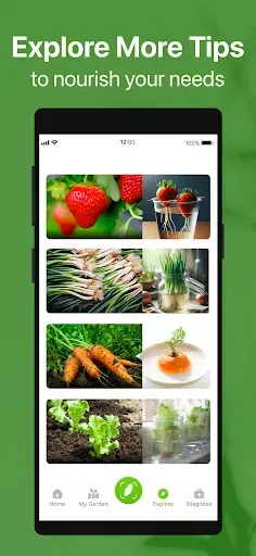 Скриншот 4 — GrowIt: Vegetable Garden Care