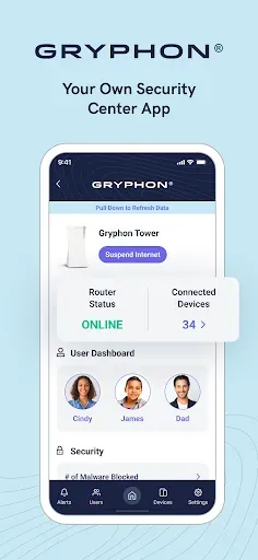 Скриншот 1 — Gryphon Connect