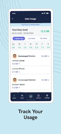 Скриншот 6 — Gryphon Connect