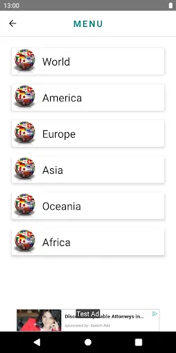 Скриншот 2 — Flag Master