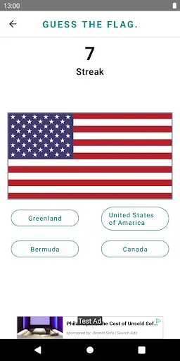 Скриншот 3 — Flag Master
