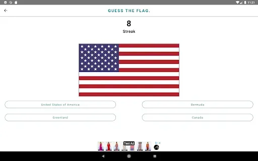 Скриншот 8 — Flag Master