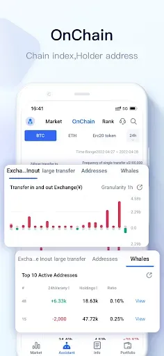 Скриншот 5 — MyToken-Crypto OnChain Tracker