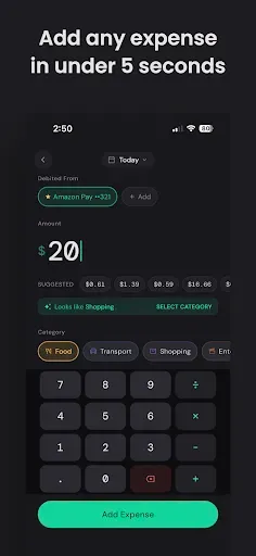 Скриншот 3 — Pocket: Expense Tracker