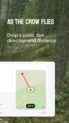 Скриншот 5 — Head North: Trail Map