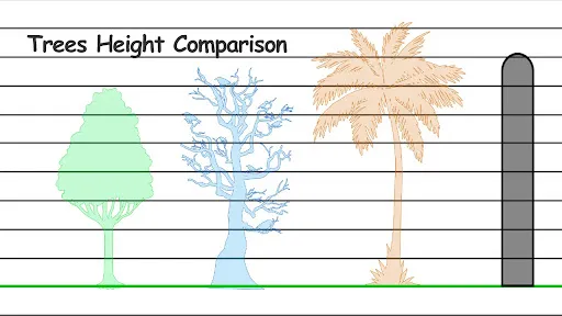 Скриншот 6 — Height Measurement App