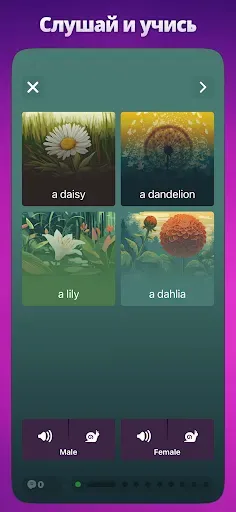 Скриншот 6 — OkyDoky - Изучение языков