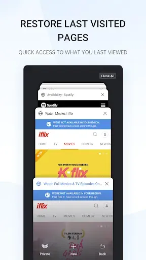 Скриншот 2 — Internet Browser