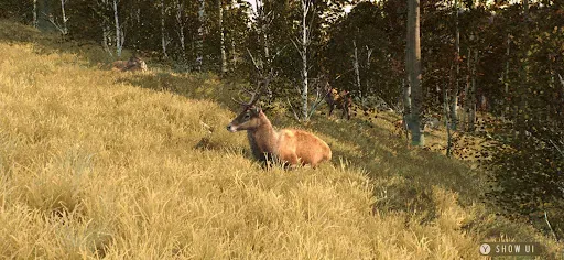 Скриншот 6 — Way of the Hunter Wild Europe