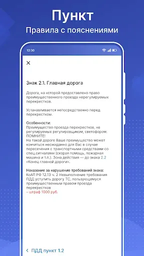 Скриншот 7 — ПДД России 2026