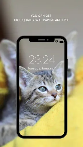 Скриншот 7 — Cute Cat Wallpaper HD