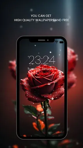 Скриншот 6 — Red Rose Wallpapers Flowers