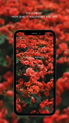 Скриншот 7 — Red Rose Wallpapers Flowers