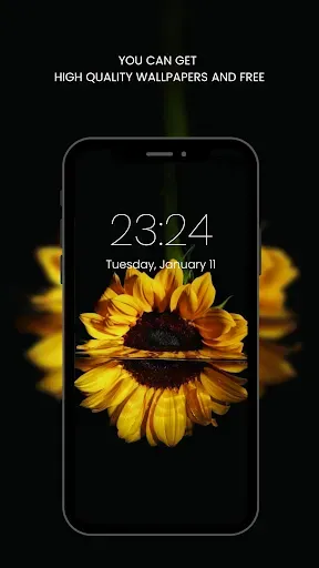 Скриншот 5 — Sunflower Wallpaper HD