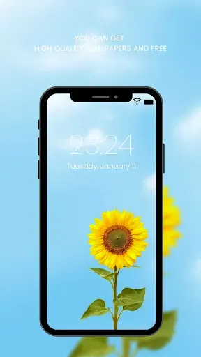 Скриншот 6 — Sunflower Wallpaper HD