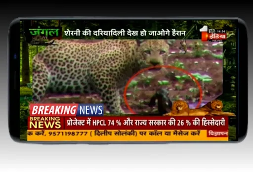Скриншот 5 — Hindi News Live TV