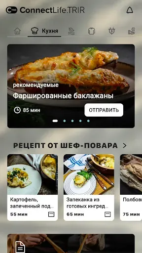 Скриншот 4 — ConnectLife.TRIR
