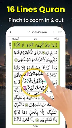 Скриншот 2 — Holy Quran: 16 Lines Per Page