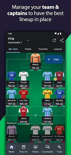 Скриншот 1 — Fantasy Football Manager Pro