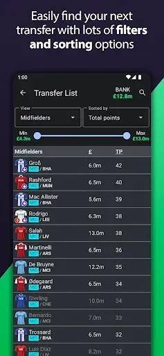 Скриншот 3 — Fantasy Football Manager Pro