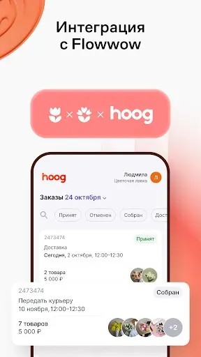 Скриншот 5 — Hoog - система учета
