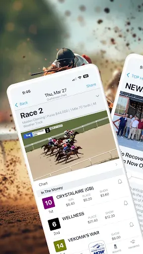 Скриншот 2 — HorseRacesNow