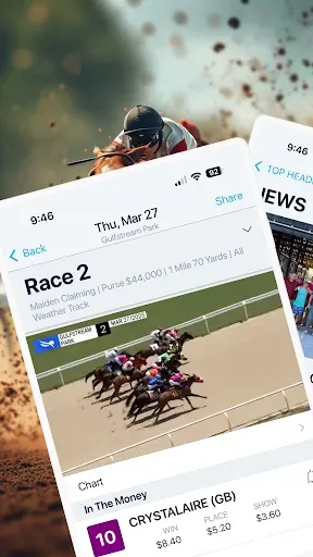 Скриншот 5 — HorseRacesNow