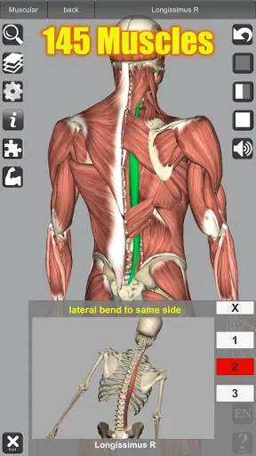 Скриншот 2 — 3D Anatomy