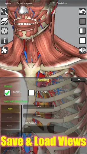 Скриншот 4 — 3D Anatomy