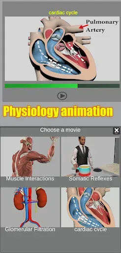 Скриншот 8 — 3D Anatomy