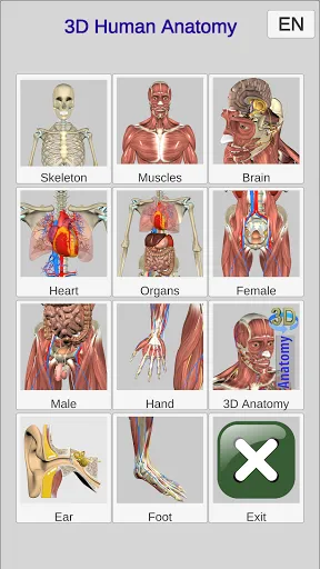 Скриншот 1 — 3D Bones and Organs (Anatomy)