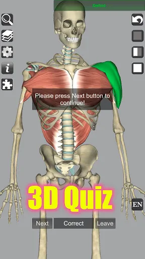 Скриншот 8 — 3D Bones and Organs (Anatomy)