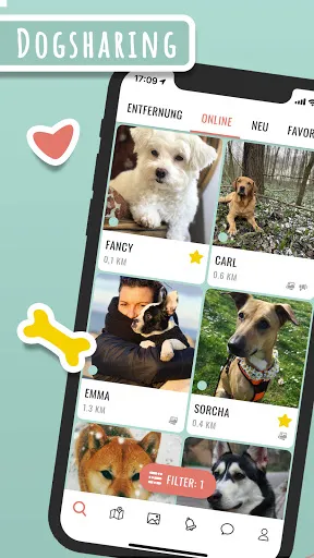 Скриншот 1 — Hundelieb - Dogsharing