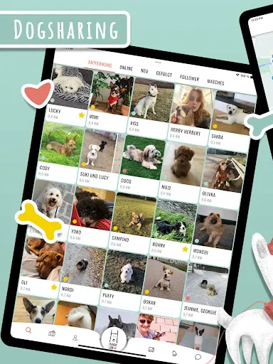 Скриншот 8 — Hundelieb - Dogsharing