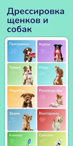Скриншот 1 — Hundeo: Дрессировка собак
